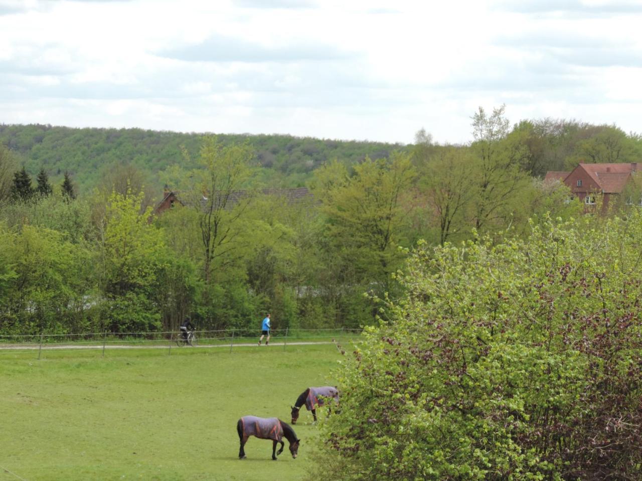 Gasthaus Zum Doerenberg Bad Iburg Zewnętrze zdjęcie